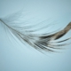Leichtigkeit, gratis online seminar, yogapsychotherapie, psychotherapie, yoga