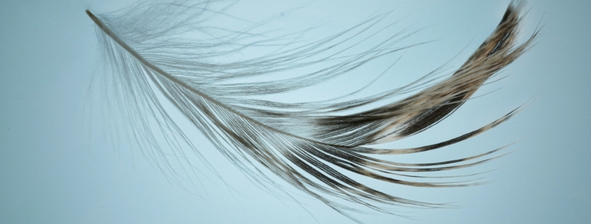 Leichtigkeit, gratis online seminar, yogapsychotherapie, psychotherapie, yoga